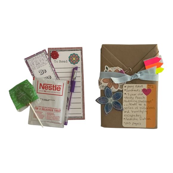 Blind Date With A Book Young Adult YA Realistic Fiction Birthday Gift Holidays - Picture 5 of 6